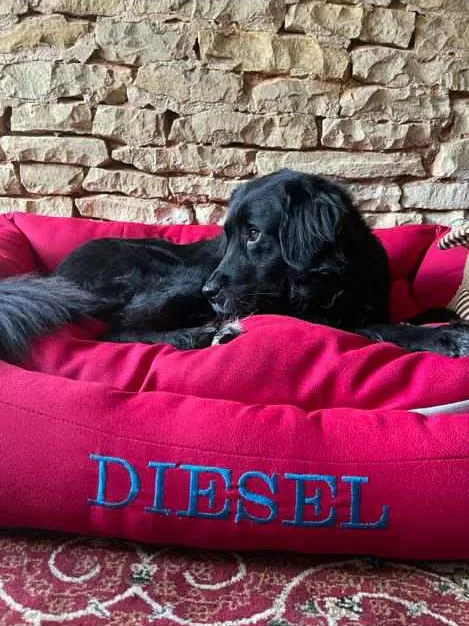 Diesel