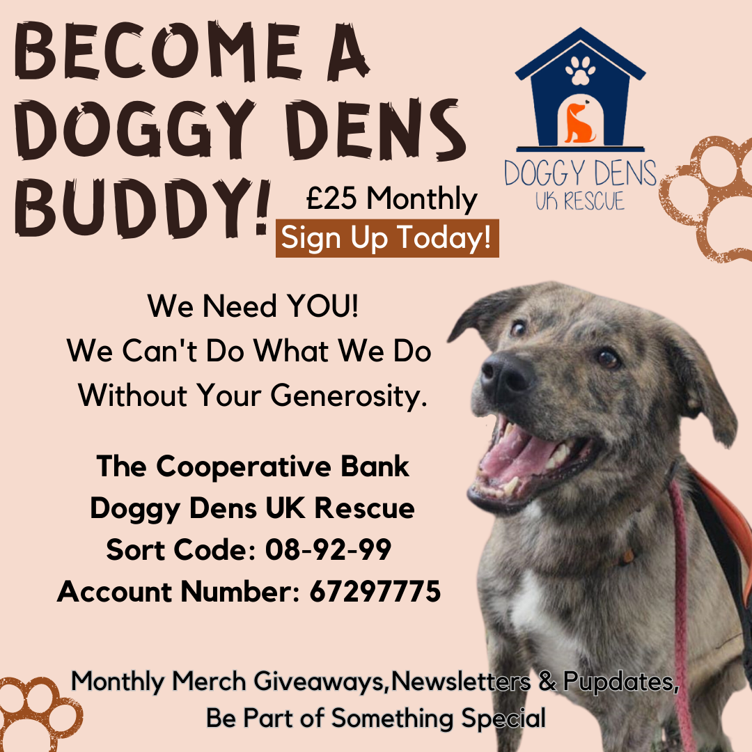 Become a doggy dens buddy! (3)