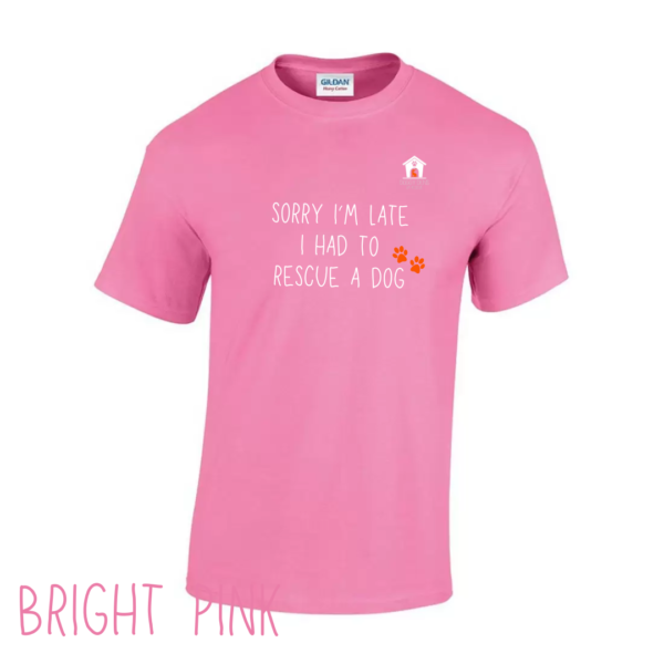 Sorry T Shirt in Bright Pink