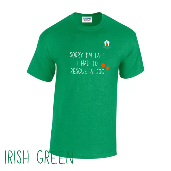 Sorry T Shirt in Irish Green