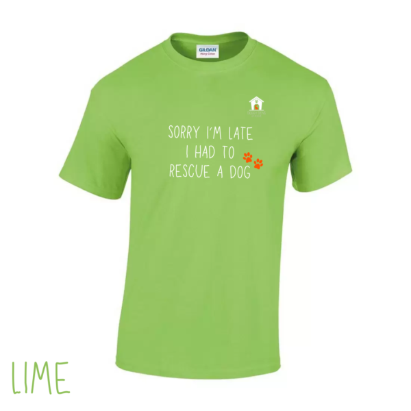 Sorry T Shirt in Lime Green