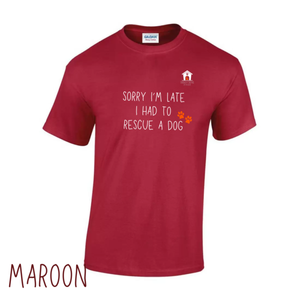 Sorry T Shirt in Maroon