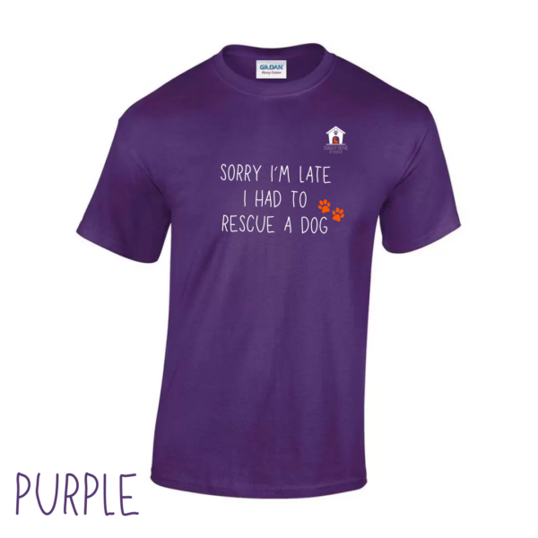 Sorry T Shirt in Purple