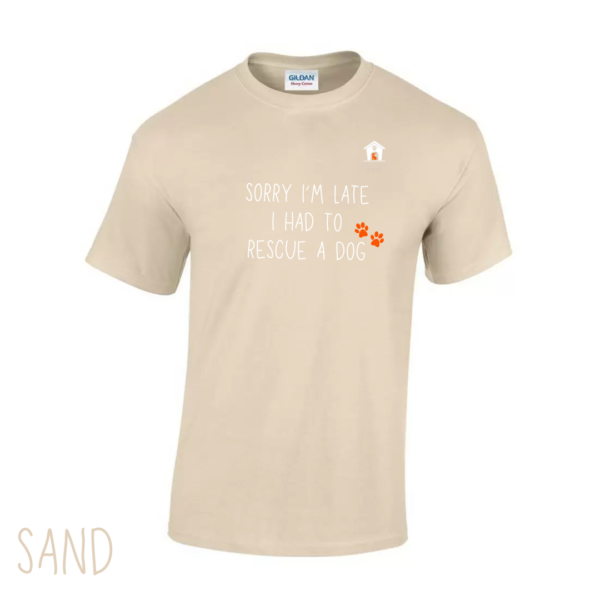 Sorry T Shirt in Sand