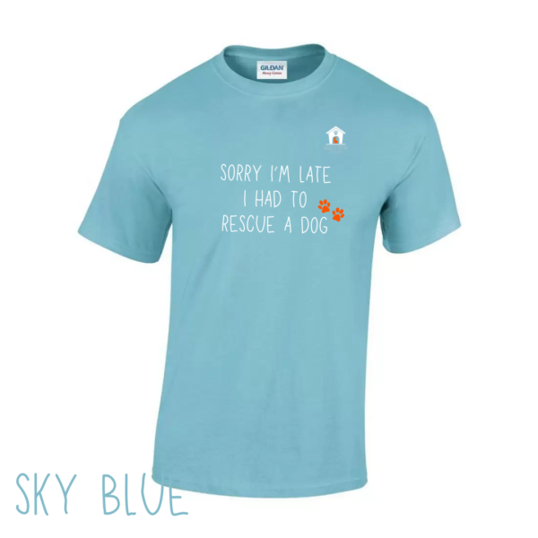 Sorry T Shirt in Sky Blue