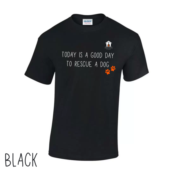 Today V1 T Shirt in Black