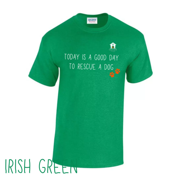 Today V1 T Shirt in Irish Green