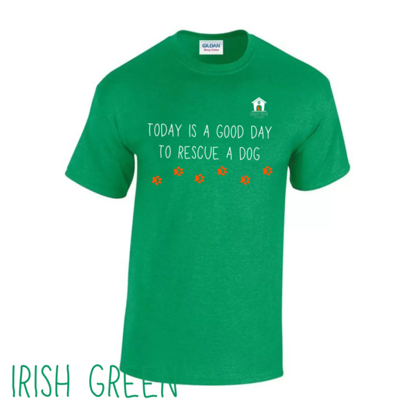 Today V2 T Shirt in Irish Green