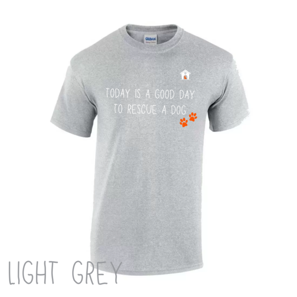 Today V1 T Shirt in Light Grey