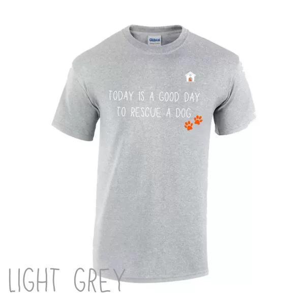 Today V1 T Shirt in Light Grey