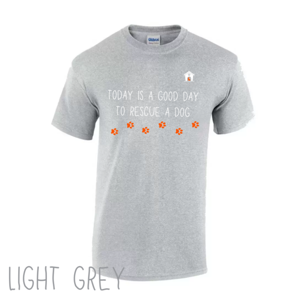 Today V2 T Shirt in Light Grey