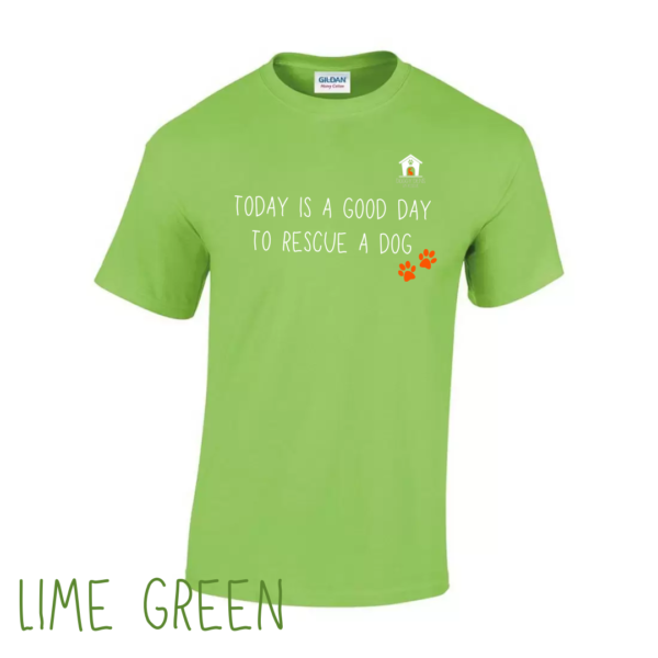 Today V1 T Shirt in Lime Green