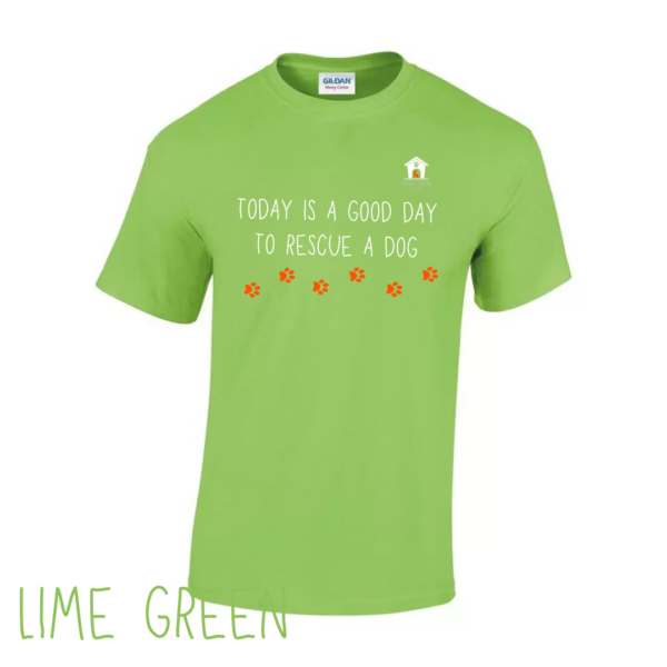 Today V2 T Shirt in Lime Green