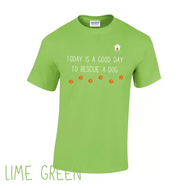 Today V2 T Shirt in Lime Green