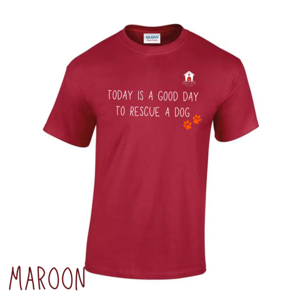 Today V1 T Shirt in Maroon