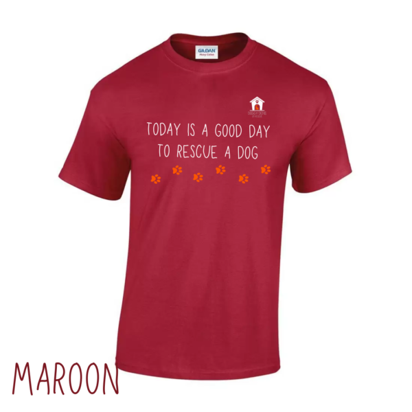 Today V2 T Shirt in Maroon