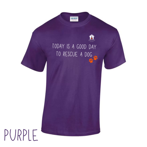 Today V1 T Shirt in Purple