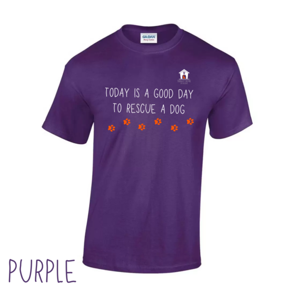 Today V2 T Shirt in Purple