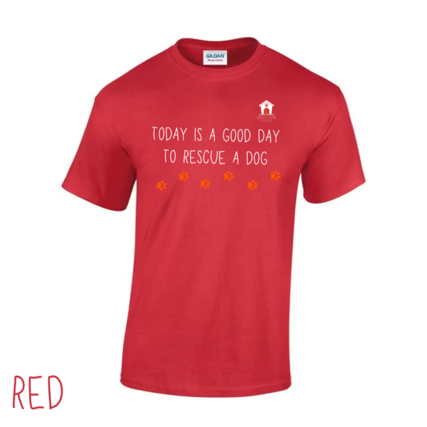 Today V2 T Shirt in Red