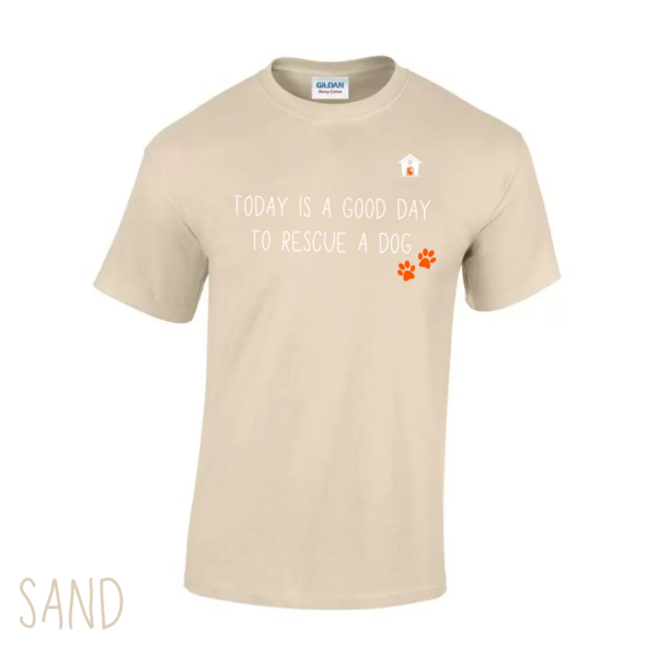 Today V1 T Shirt in Sand