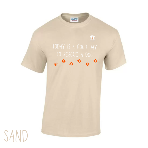 Today V2 T Shirt in Sand