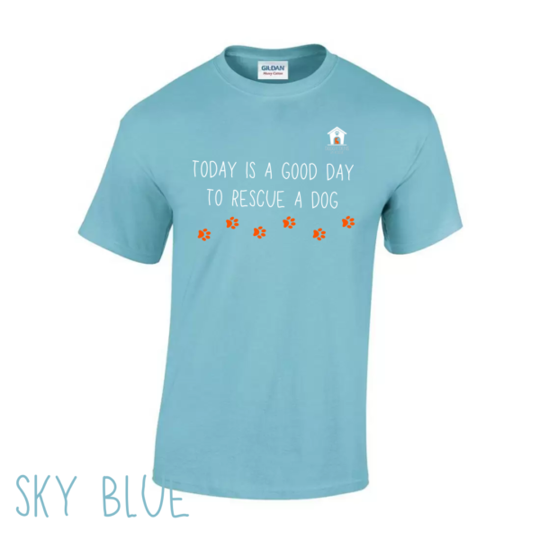 Today V2 T Shirt in Sky Blue