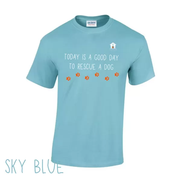Today V2 T Shirt in Sky Blue